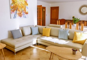 Mimosas Bormes-les-Mimosas