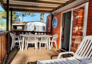 Mobile Home bois dormant