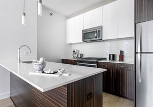 Mod Gold Coast 1BR w/Gym, nr. Magnificent Mile & the L, by Blueground