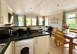 Modern and contemporary lodge style holiday home set in woodland area.