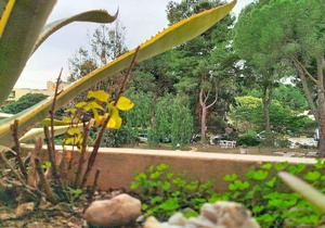 Modern Apartment Near Beach & Shops - Sleeps 4, Private Garage, South-Facing Balcony