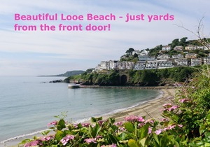 Modern apartment in the heart of Looe town