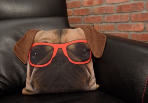 Modern apartment in the heart of Looe town