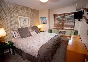 Mountain Lodge at Okemo-1Br Fireplace & Updated Kitchen condo