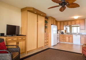 Napili Shores I-173 - Direct Oceanfront: “Sale” into Whale Season with Reduced Rates!