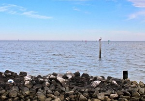 Navy Cove Harbor 1203-It's the Locals Favorite time of Year! Find Out Why ~Book Now