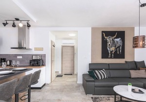 New and modern villa with private pool for 8 people, near Porec
