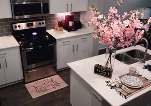 New Upscale Luxurious Apartment (BuckHead Area)