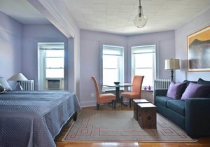 Newly Renovated Studio Apartment in Park Slope, Brooklyn