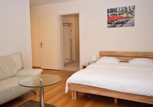 Nice studio in the city center - Vineyard 11