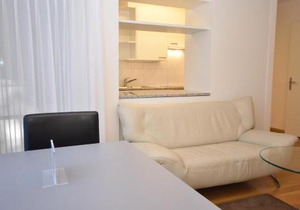 Nice studio in the city center - Vineyard 11