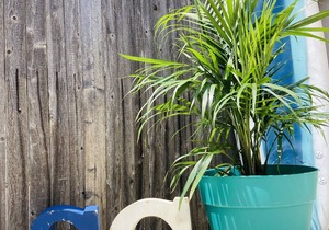 OceanBlock! 6 houses to beach. Aug 23-30 rate 3495! Fall weekends& mini week