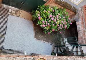 Old house for 7 people in the centre of Gaillac