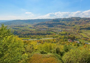 One-bedroom apartment A4 with shared pool in Central Istria