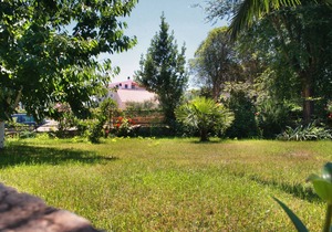 One bedroom apartment with terrace Murter (A-5084-a)