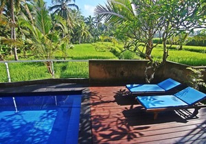 One Bedroom Ricefields View Villa Ubud #2