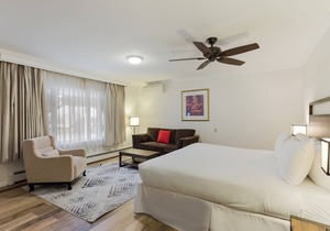 Palmer House Resort - Deluxe King Bed 4