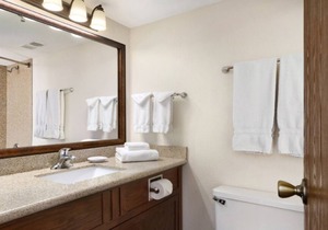 Perfect For Travel! 3 Classy Units, Onsite Bar, Near Nicolaysen Art Museum