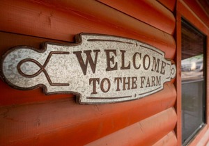 Pet Friendly Cabin 4 - 15 minutes from Magnolia and Baylor