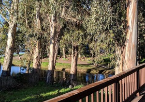 Pleasure Point Paradise! Beach and Lagoon Views!