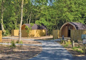 Pod with one double.