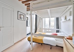 Pretty Mezzanine Studio in the Heart of Paris (2F)
