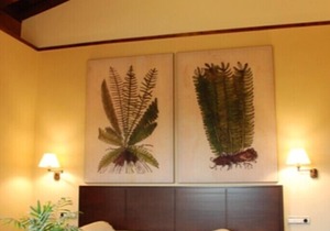 Private room in charming rural hotel 11