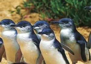 Quays Motel San Remo