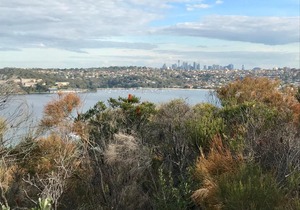 Queenscliff beach apartment