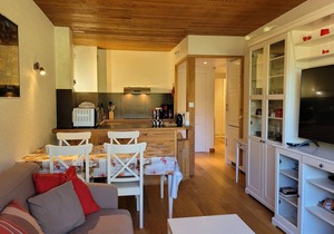 Renovated apartment, 2 bedrooms, 2 bathrooms, balcony overlooking slopes