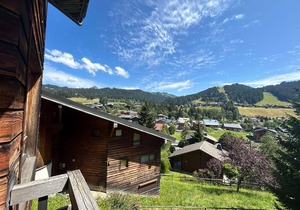 Renovated Apartment, Walking Distance to Slopes, South-West Balcony, Comfort Amenities