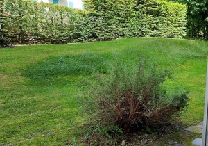 Renovated studio 16m2, terrace, pets allowed, parking, near Brévent cable car