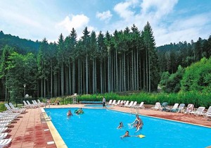 Res Les Fontaines des Vosges Saales 3 room apt