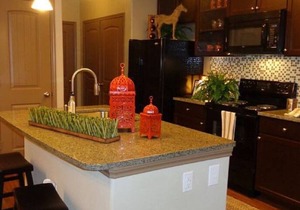 Resort Style 2 Bedroom/2 Bath Apt./Condo in The Wo