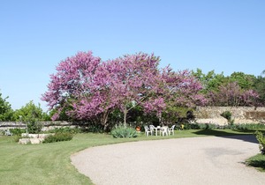 ROOMS, Bordeaux region, wine route, baths, cures.
