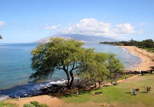 Royal Mauian #302 by Ali'i Resorts