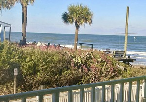 Sandy Shores - Ocean view At Symphony Beach Club!