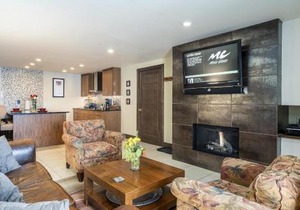 Scandinavian Lodge 03 Condo