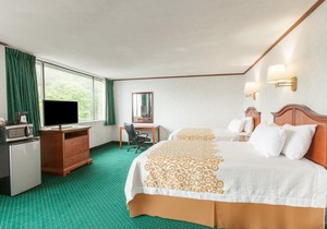 Schenectady Inn & Suites