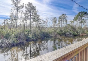 Sea Pines villa with views of the Lagoon & Landscape