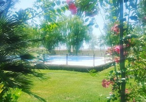 Self catering Complejo Los Arenales for 4 people