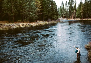 Seventh Mountain Resort | Pools, Hot Tubs & Gym | Mt. Bachelor Ski Shuttle