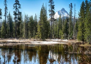 Seventh Mountain Resort Units 2015 & 2016