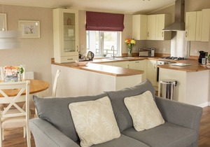 Silver Birch - UKC4529