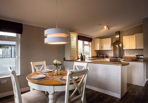 Silver Birch - UKC4529