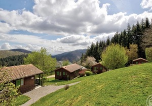 Single-story chalet with terrace, pets allowed
