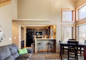 Ski-In 5BR Retreat @ Boyne Mtn - Walk to Lifts & Fun!