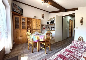 Ski-in/Ski-out 2-Room Cabin Apartment with Balcony - Praz-sur-Arly