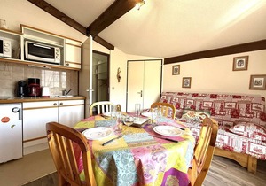 Ski-in/Ski-out 2-Room Cabin Apartment with Balcony - Praz-sur-Arly