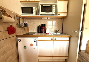 Ski-in/Ski-out 2-Room Cabin Apartment with Balcony - Praz-sur-Arly